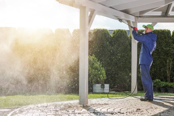 Best Sidewalk and Walkway Cleaning  in Second Mesa, AZ